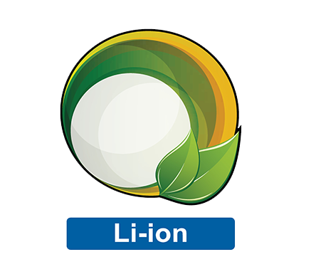 Yale liion